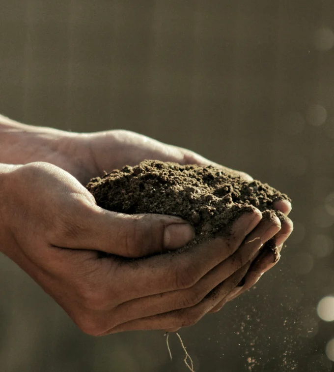 Due mani che reggono una manciata di terra